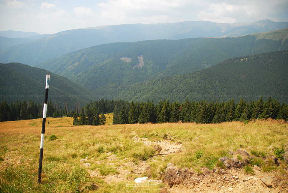Visszanézve, középtől kicsit balra, a tisztás elején jöttünk ki az erdőből. Jobbra fent a távolban a Nagy-Jézer-csúcs.