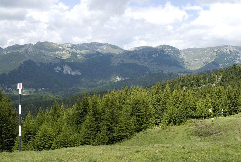 Rálátás a Tătarul, Colţii és Bătrâna hegyekre a Lăptici nyeregből.